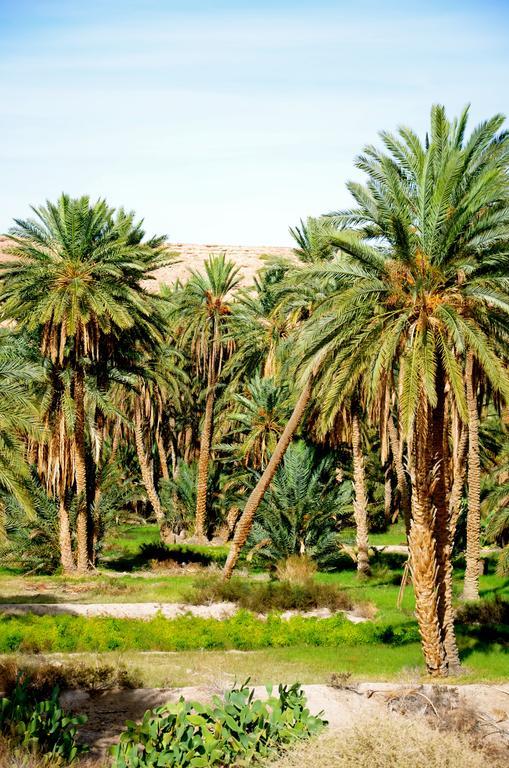Dar Tozeur Exterior foto