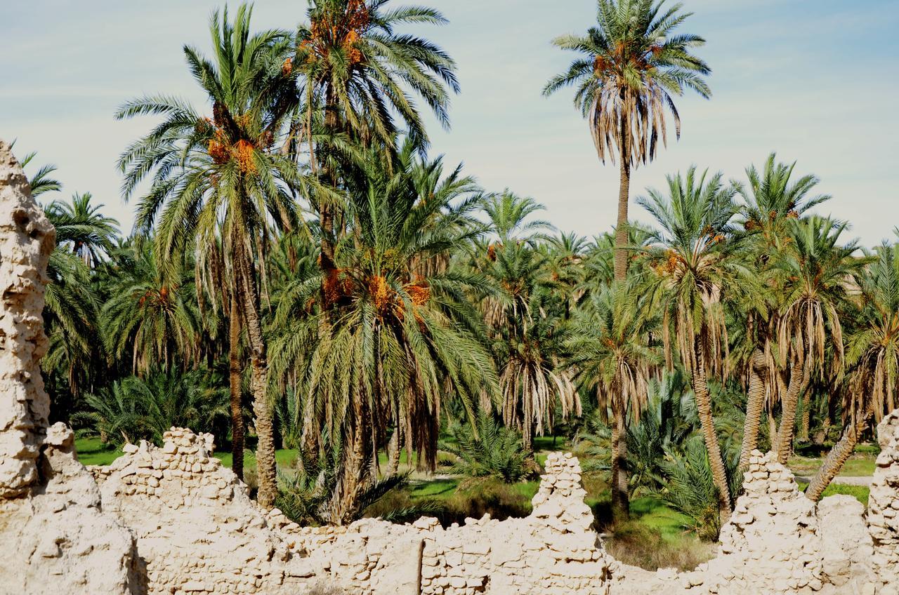 Dar Tozeur Exterior foto